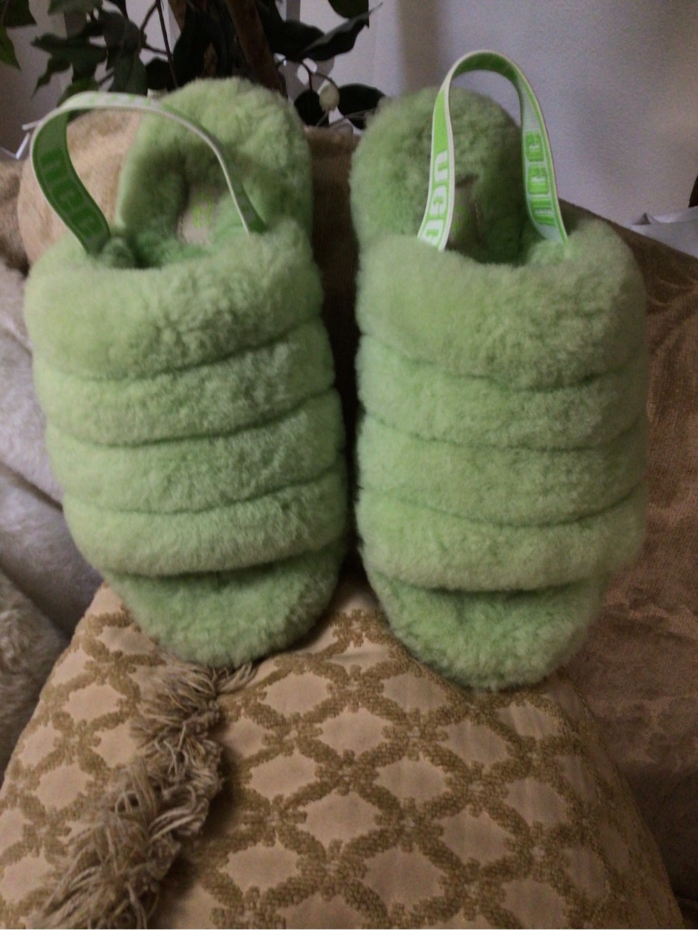 UGG - Picture 6 of 10